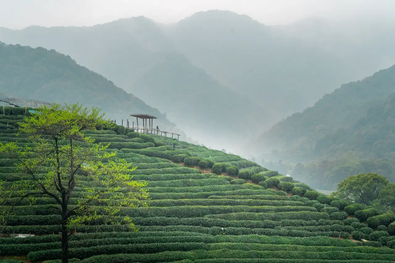 重庆顺工巧精密注塑加工在汽摩配件中的技术要点分析