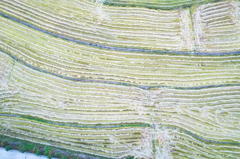 注塑成型模具试模工艺参数优化与质量管控方法