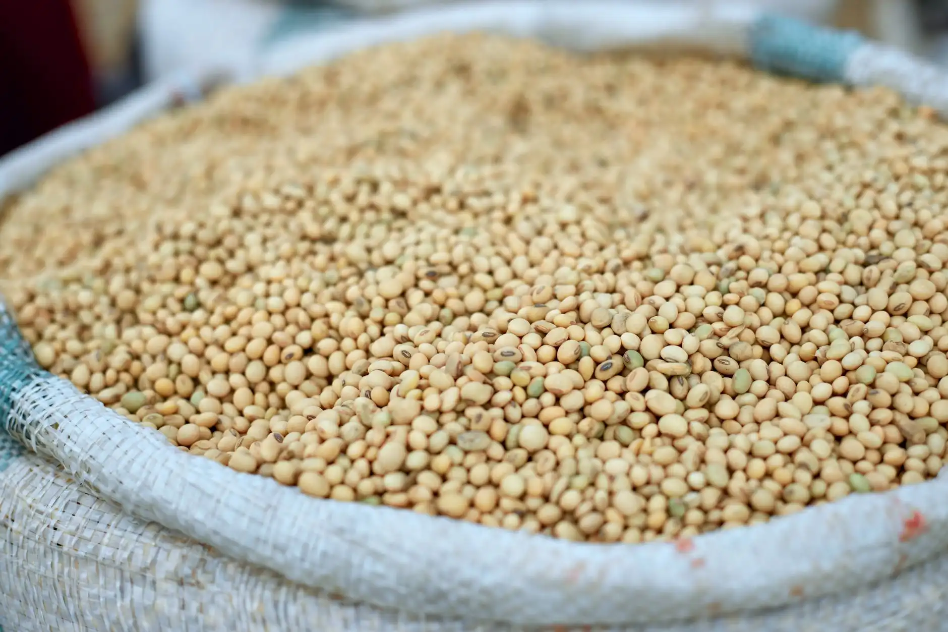 重庆顺工巧精密模具注塑成型技术优势与工艺解析