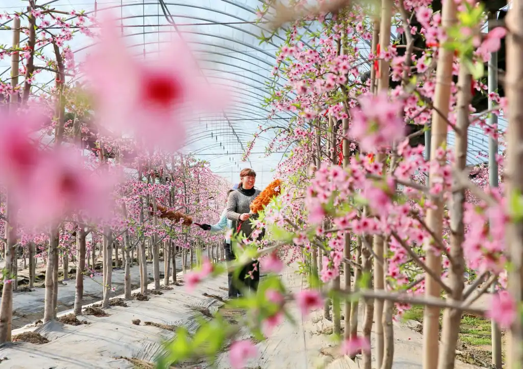 精密注塑加工中模具试模流程优化与质量控制要点