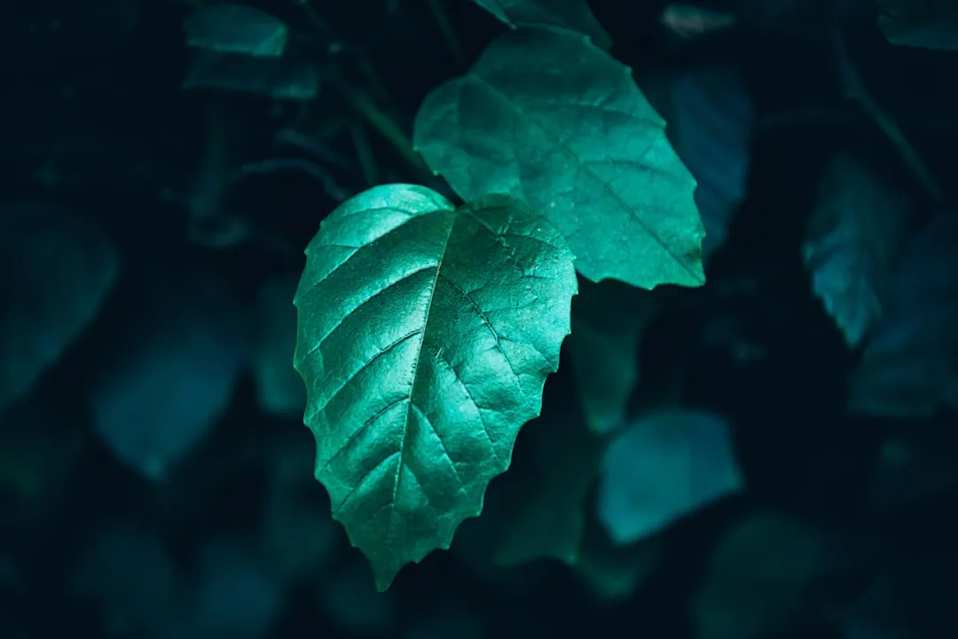 重庆汽摩配件注塑成型加工中模具试模的关键作用解析